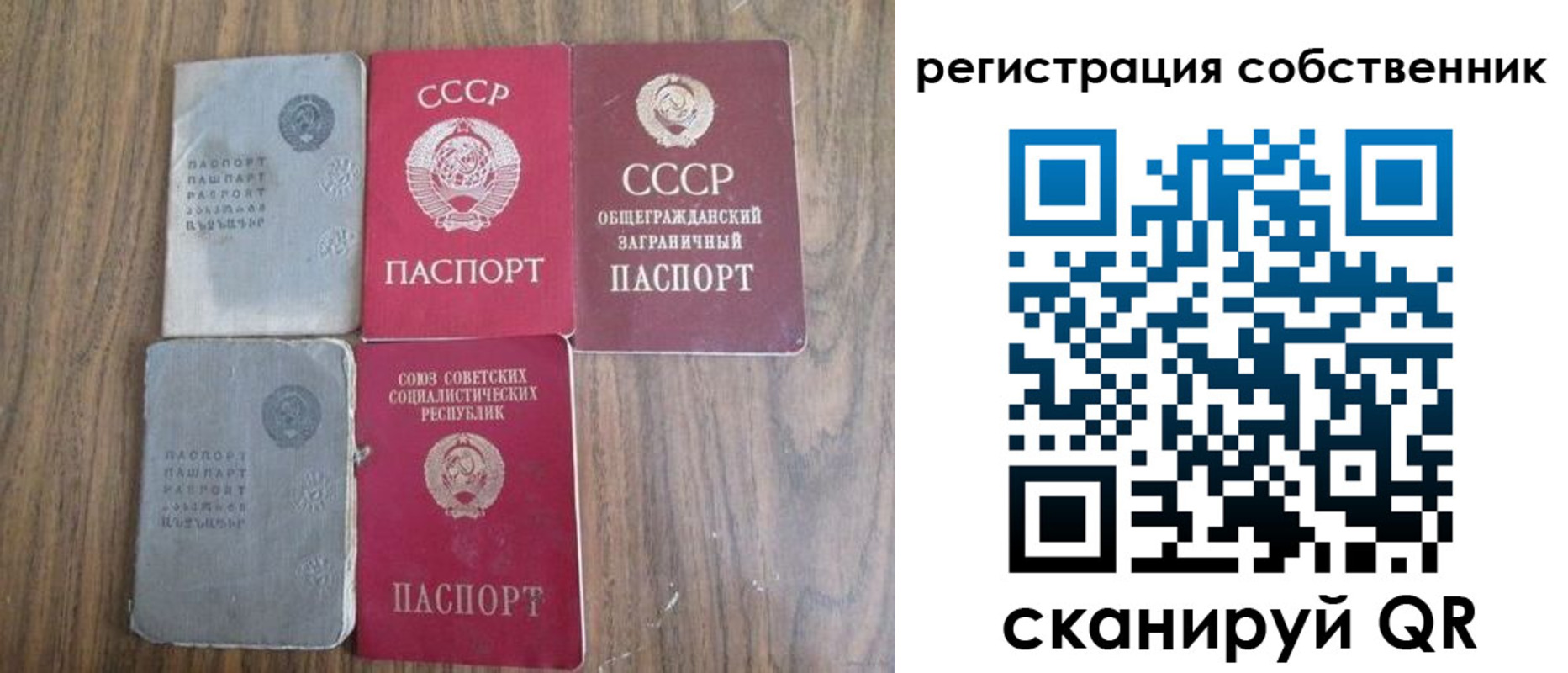 прописка поиск в Сальске